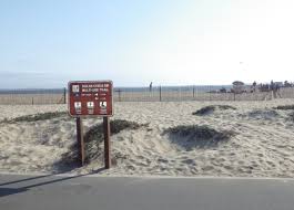 We did not find results for: Bolsa Chica Beach Bike Path Southern California Beaches