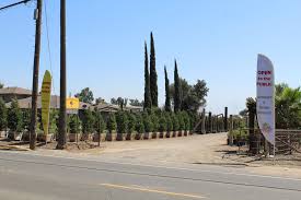 You'll receive an entire dump trucks worth of wood chips, which can be as much as 20 cubic yards, approximately. Landscape Supply Store Ontario California Apollo Wood Products