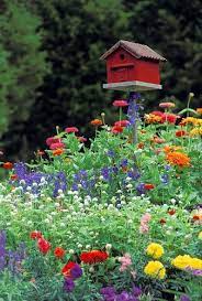 Schones Vogelhaus Summer Flowers Garden Bird Houses Flower Garden