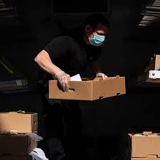 Skilled contractors can solve your pest control needs: Services Available In The Miami Valley Wrgt