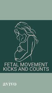 Image result for Fetal Movement Count