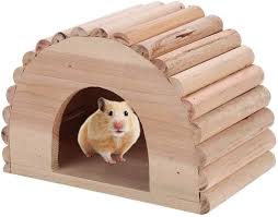 Rats are incredibly intelligent creatures that need some mental stimulation in order to be healthy and happy. Amazon Com Wooden Hamster House Diy Arch Shaped Small Animal House Pet Rats Gerbil Hideout Rat Hideaway Hut Ouse Sugar Glider Huts Syrian Hamster Cage Accessories Pet Supplies