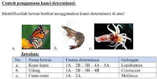 We did not find results for: Klasifikasi Makhluk Hidup Kunci Determinasi Dan Kladogram Risnaldy