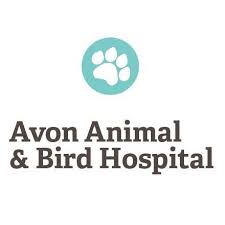 One touch call and email request appointments request food request medication view your pet's upcoming. Avon Animal And Bird Hospital 37160 Detroit Road Avon Reviews And Appointments Topvet