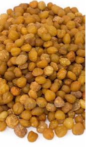 Image result for Ricinodendron heudelotii