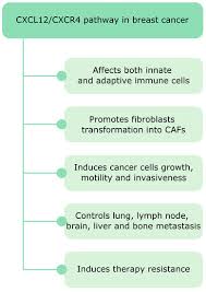 What are tina bruce's twelve features of play? Cancers October 2020 Browse Articles
