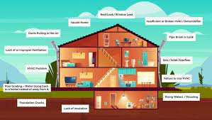 Home inspectors can get training to identify mold, as well as conducive conditions and where mold is likely to grow. Water Mold Fire Restoration