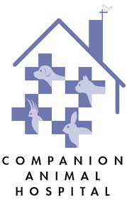 681 likes · 4 talking about this · 473 were here. Castro Valley Ca Veterinarian Castro Valley Companion Animal Hospital