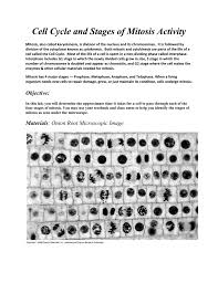 Maybe you would like to learn more about one of these? Lab6stagesofmitosis