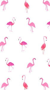 flamingo wallpaper 54 images