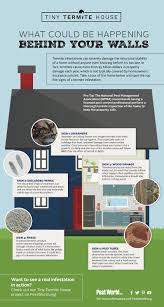 Pin On Pest Removal