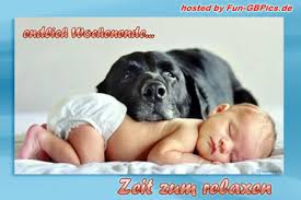 Fernsehen wann sehen sie fern? Endlich Wochenende Gb Bild Facebook Bilder Whatsapp Bilder Gb Bilder Jappy Bilder
