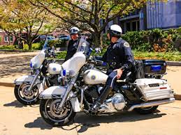 How To Become An Animal Cop - Requirements To Becoming An Animal Cop