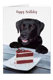 Black Lab Birthday Card Dog Birthday Card Zazzle Com Dog Birthday Card Happy Birthday Dog Dog Cards
