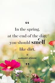 20 Happy Spring Quotes Sayings About Spring And Flowers