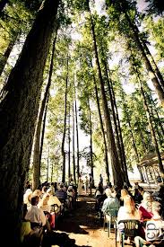 Kitsap Memorial State Park Wedding Seattle Wedding Venues Washington Wedding Venues Park Weddings