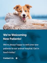 We did not find results for: Patient Information Affordable Pet Vet Clinic Veterinarian In Tracy