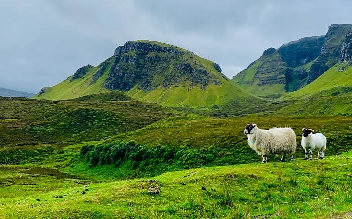 Highlands 
