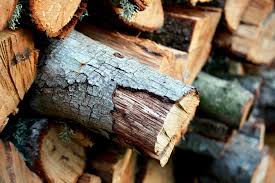 Want to know where to find free firewood to fuel your wood stove and heat the room this winter? Restonians Get Free Firewood This Weekend Reston Now