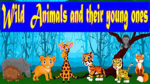 Education Videos Wild Animals And Their Young Ones Zoo Babies K Animals Wild Zoo Babies Daycare Themes