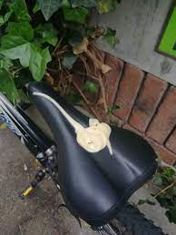 サドル ぶっかけ