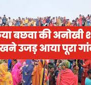 गाय की शादी देखने को उमड़ी भीड़ ( cow marriage) सज धज कर निकली बारात