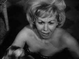 Lacey Kelley's Instagram, Twitter & Facebook