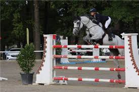 Springen, dressur und vielseitigkeit sind die disziplinen im klassischen turniersport. Jana Wargers Bleibt Im S Springen In Ehringhausen Hauchdunn Vorn