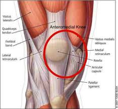 A ligament is fibrous tissue that connects 2 or more bones together. Lower Limb Injuries In Breaststroke Swimmers Coast Sport