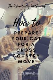 If you have an indoor cat, so a cat that is used to being home most of the time, they will definitely not accept the whole moving across the country concept. Cross Country Moving With Cats The Adventuring Millennial