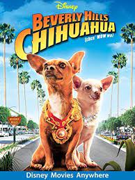 Beverly Hills Chihuahua Click Image To Review More Details Beverly Hills Chihuahua Beverly Hills Chihuahua
