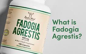 Image result for Fadogia