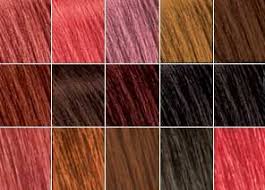 Treat it like your own hair and take very good care of it for it to last longer. Demi Permanent Hair Color At Home Semi Permanent Hair Color Hair Color Reviews Bigen Hair Color