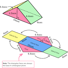 What Are Lateral Faces Of A Shape? Definition And Examples