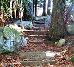 Lynn Woods Reservation Municipal Park Park Ranger Forest Park