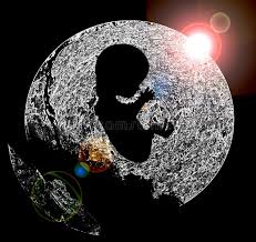 Image result for Gravidity