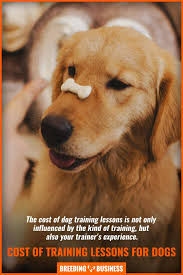 Get free estimates from dog. How Much Do Dog Training Lessons Cost Price Factors Types Faqs