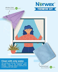 To get rid of warts (my niece did) that is what sold her on norwex. Domestic Haven Enviro And Window Cloths Are The Best Of Facebook
