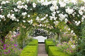 Follow these guidelines for beginners and you'll be off to a great start. The 10 Best Gardens To Visit In The Uk