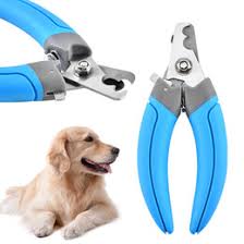 Cat cages, crates and doors. Wholesale Professional Pet Grooming Supplies Buy Cheap In Bulk From China Suppliers With Coupon Dhgate Com