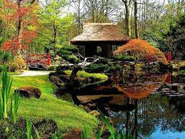 Den Haag Japanse Tuin Clingendael Japanese Water Gardens Zen Garden Design Japanese Garden