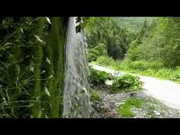 Cascada De Vis Din Valea Latoritei Valcea Romania Turism Romania Romania Plants