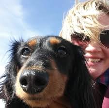 Could anyone recommend somewhere in Bristol that is nice for a large  motorhome with 2 dogs that will be keen for a good walk! Thank you X