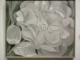 We did not find results for: Masterworks Whitney Museum Of American Art New York Georgia O Keeffe The White Calico Flower Alexander Street A Proquest Company