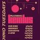 Monthly Live Music with Kelmus at Sun King –... event in Sarasota, FL