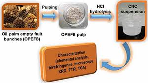 The isolation process of the raw opefb fibre was carried out using chemical process to extract the opefb nanocellulose. Hydrochloric Acid Hydrolysis Of Pulps From Oil Palm Empty Fruit Bunches To Produce Cellulose Nanocrystals Springerlink