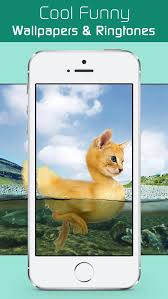 You can have sup bebola ikan cendawan shitake#fayekusairi#cendawan using 17 ingredients and 9 steps. Cool Funny Wallpapers Backgrounds Lol Pics Meme Posters Trippy Illusion Photos Apps 148apps
