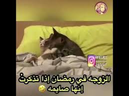 حالات واتس اب مضحكة عن رمضان