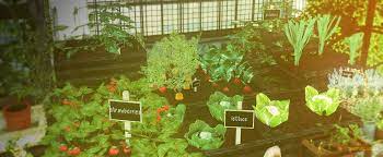 Yumesims Sims 4 Garden Sims 4 Sims