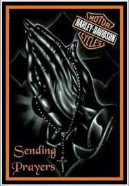 Elisa Apodaca (elisaapodaca)